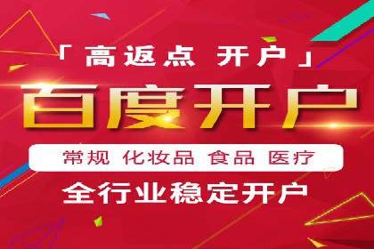 SEM竞价代运营公司案例深度解析